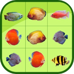 beplayapp下载登录