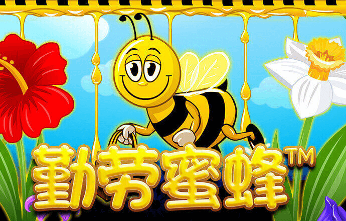 期期中app官方正版下载