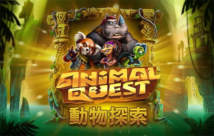 最新白菜彩金网站
